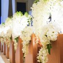 성남대로1518번길 | 복정 선한목자교회 피로연 후기: 교회 결혼식 뷔페 퀄리티 높은 업체 선택하세요."에덴뷔페" (feat.에덴...