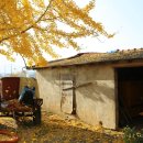 더 마을 핑크 이미지