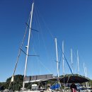 박선장네 | 박선장 포항 요트투어 / 솔직 방문 후기