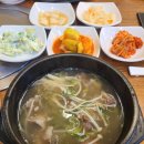 배윤박갈비마트, 신촌설렁탕 | 강변역 테크노마트 맛집 경복궁 방문 후기