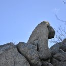 경일목장 이미지