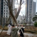 삼육라이튼어린이집 이미지