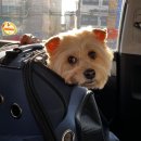 신내동물병원 이미지