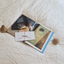 담양스테이 | 담양여행 숙소추천｜까망감스테이 3번방 솔직 후기