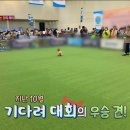 펫마인드 이미지