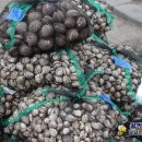 화순재래시장 이미지