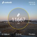 노양1리마을회관 | 평택섶길2-1코스 장서방네노을 편안한 구간 2시간 7km 난이도 하 250226