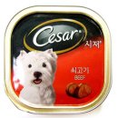 멍멍이가 있는 집 이미지