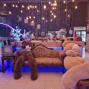 별을 마시다 이미지