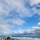 삼정리224 이미지