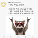 9th blogchallenge