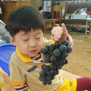 용주농장 이미지