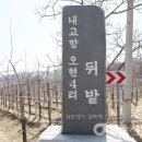 오현3리 이미지