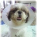 덩어리 이미지