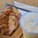 고래야 <미래도시> | [블챌 6주차 - 1] 브리즈번 혹등고래 투어 후기