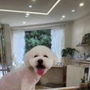 니니앤제리 이미지