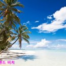 포토포인트 이미지