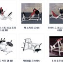 골든몽키짐 플래티넘 sky 이미지