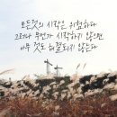 (주)제주왕 이미지
