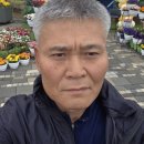 황골장미마을 이미지