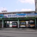 홍주여객 이미지