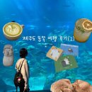 카페구할구제주