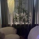 호텔느낌 | 양천 목동 피부관리 바얀스파 호텔스파 느낌 프리미엄 케어 후기