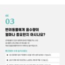 빵근맘마 이미지