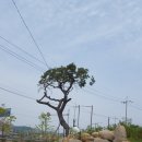 달성2차5로 이미지