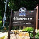 태백목장 이미지