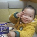 한탄강 큰 집 Daum카페
