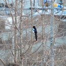 샌드시아 이미지