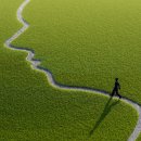 열반을 걷는다 이미지