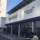 신항점 현대블루핸즈 이미지