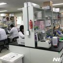 청신센타 이미지