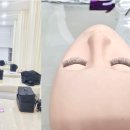 감각차이속눈썹
