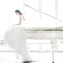 스튜디오 가미 이미지