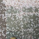 길세탁소 이미지