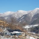 산호수농장 이미지