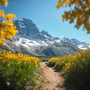 하늘집민박 이미지