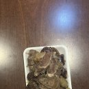 함덕은서네 이미지