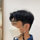 마레헤어 이미지