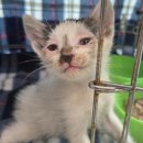 삼산종합동물병원 이미지