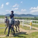 악양 승마장 이미지