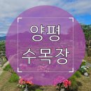 노문길 | 양평 수목장 전망·환경·수종별 비교 안내