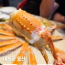 울산전복킹 | 울산대게맛집 정자항에서 먹는 대게궁울산 오션뷰 코스요리 찐후기