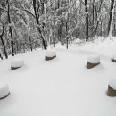 복이카페 이미지