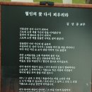 법인절 행사의 시사전 사진입니다-사진 박진각님 이미지