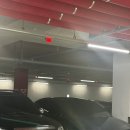 중부무도장 | 일상블로그 2월 (2)