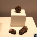 금동축산 이미지